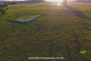 Fazenda Reconquista - Cachoeira do Sul.00_02_58_19.Quadro030_a5b38155a995426dc7078a2031782b68ba319bd3.png